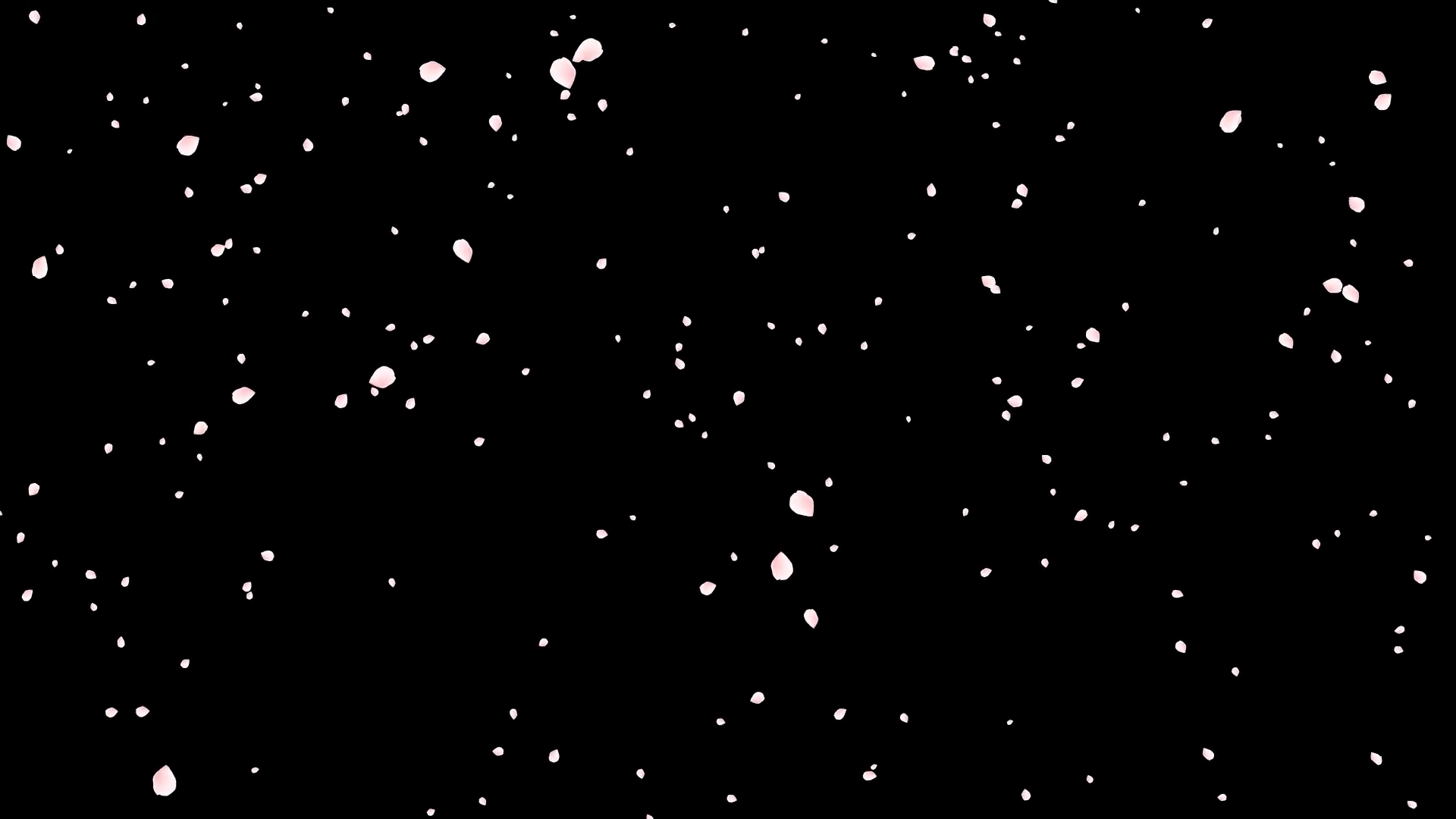 Sakura Sakura Petals Sakura Falling With Stock Motion Graphics SBV ...
