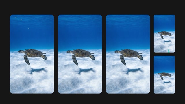 Royalty-Free Ocean Animation Templates - Storyblocks