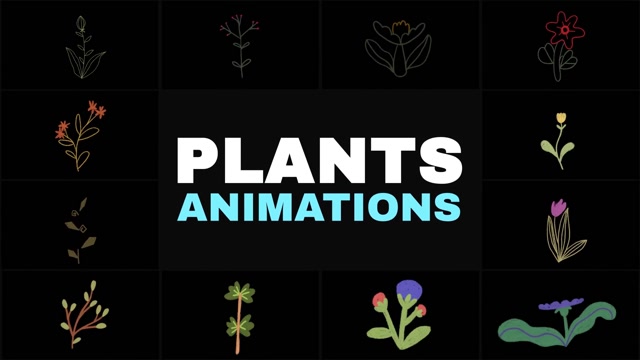 Royalty-Free Roots Animation Templates - Storyblocks
