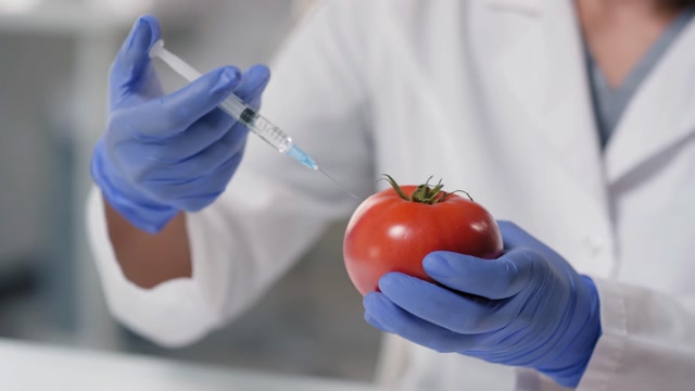 TOMATO LAB Stock Footage: Royalty-Free Video Clips - Storyblocks