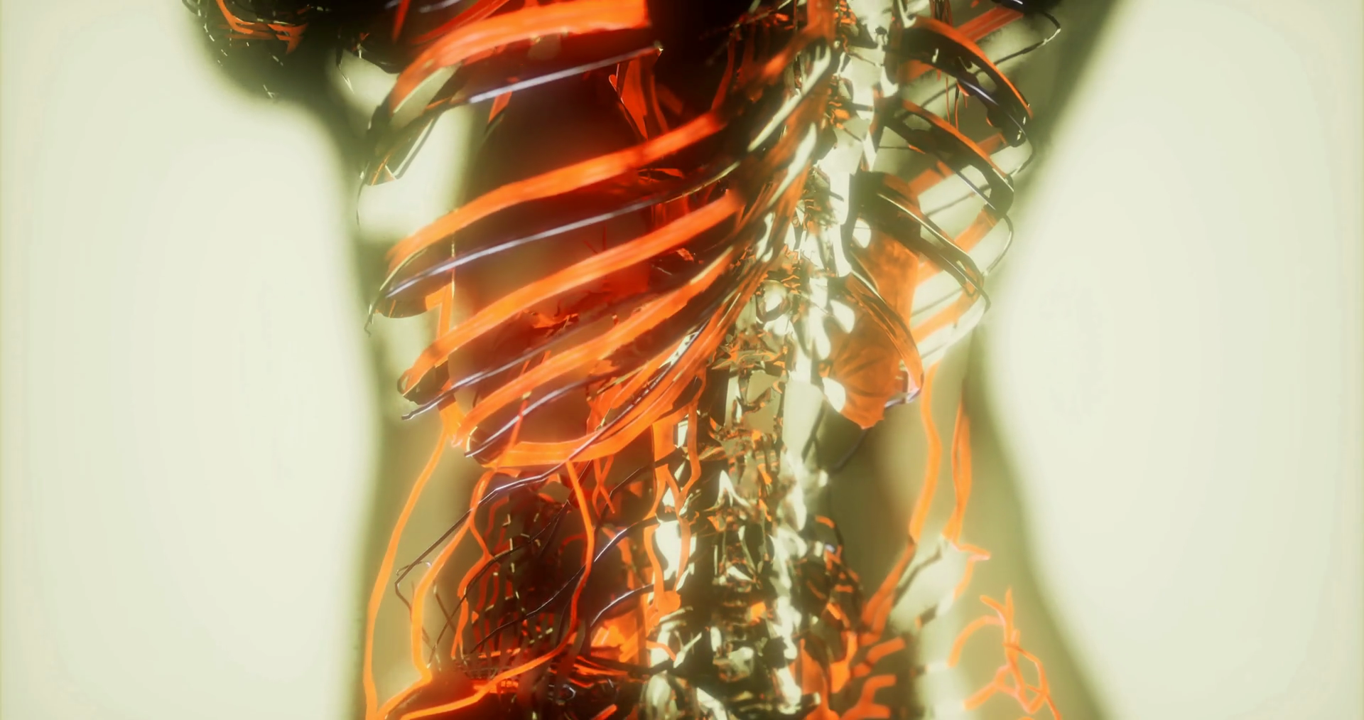Detailed Visualization Of Human Blood Stock Motion Graphics SBV ...