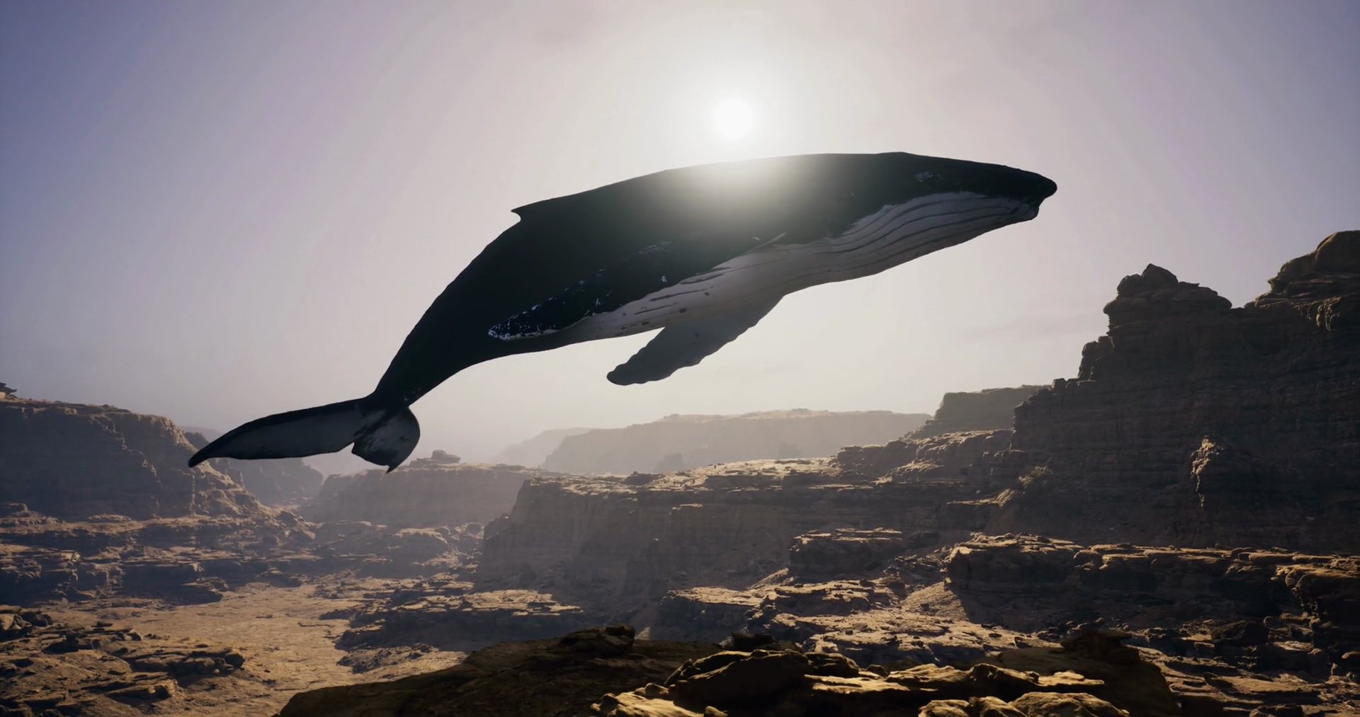 Majestic Whale Gliding Over Stunning Expanse Stock Motion Graphics SBV ...