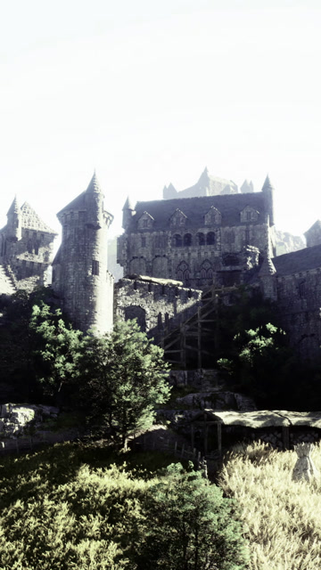 Medieval Kingdom Stock Footage: Royalty-Free Video Clips - Storyblocks