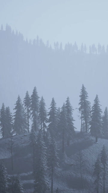 Wild Weather Stock Footage: Royalty-Free Video Clips - Storyblocks