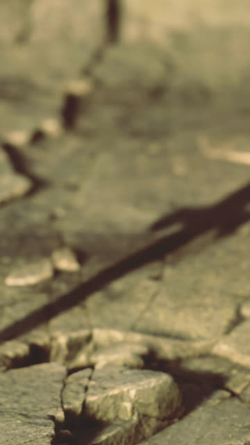 Cracks Ground Stock Footage: Royalty-Free Video Clips - Storyblocks