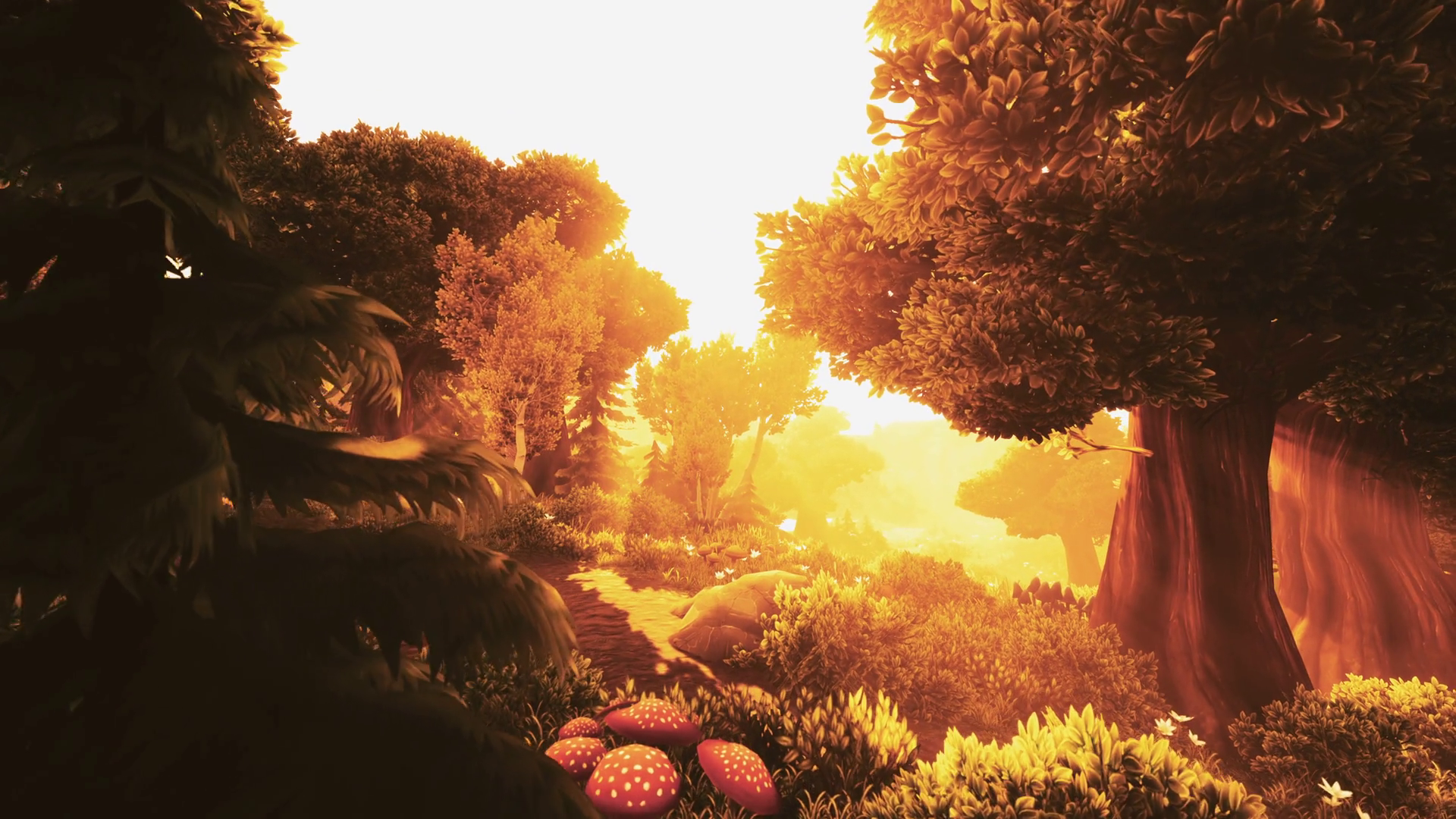 Cartoon Wooded Forest Trees Backlit Golden Stock Motion Graphics SBV ...