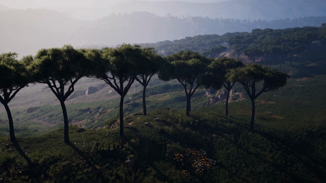 Rome Countryside Stock Footage: Royalty-Free Video Clips - Storyblocks