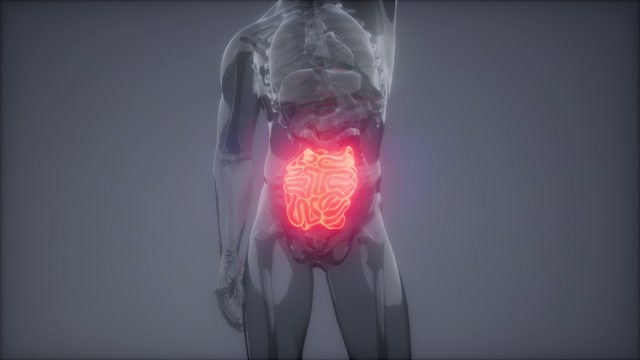 Intestinal Pain Stock Footage: Royalty-Free Video Clips - Storyblocks