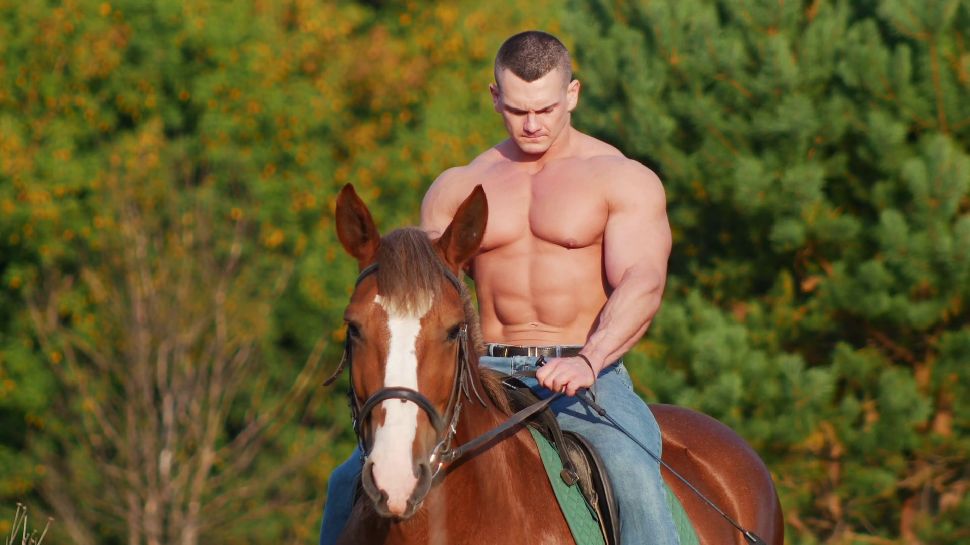 A Strong Male Bodybuilder Sits Majestically Stock Footage SBV-326665908 ...