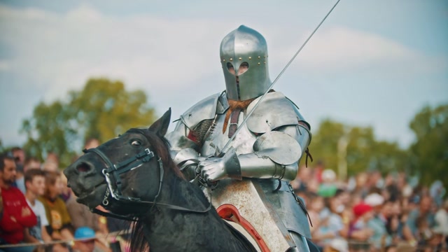 Medieval Knight | Animals stock footage - Storyblocks