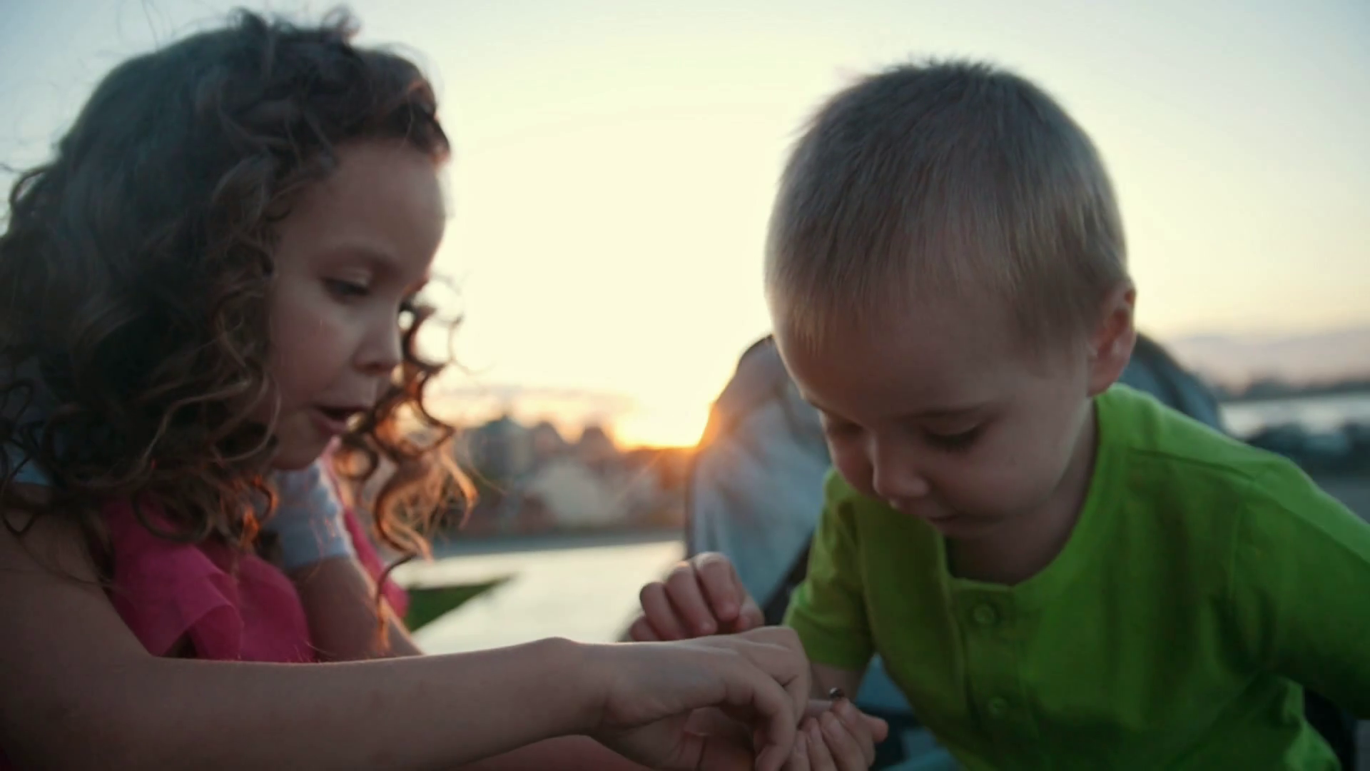 Young Girl Shares Insect Discovery With Stock Footage SBV-317599481 ...