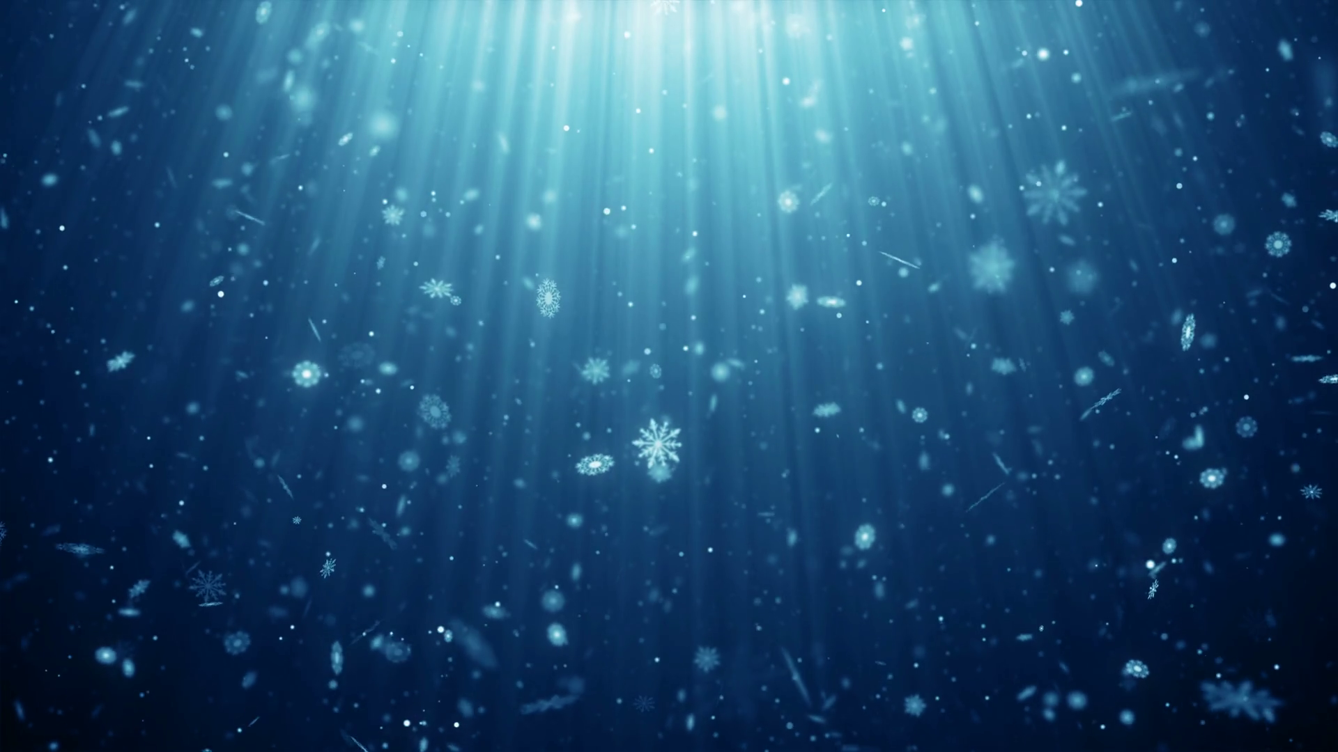 Particles Snow Snowflake Winter Christmas Stock Motion Graphics SBV ...