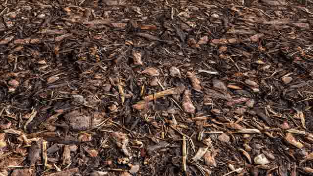 Decomposing Stock Footage: Royalty-Free Video Clips - Storyblocks