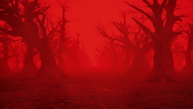 Who The Hell Are You Stock Footage: Royalty-Free Video Clips - Storyblocks