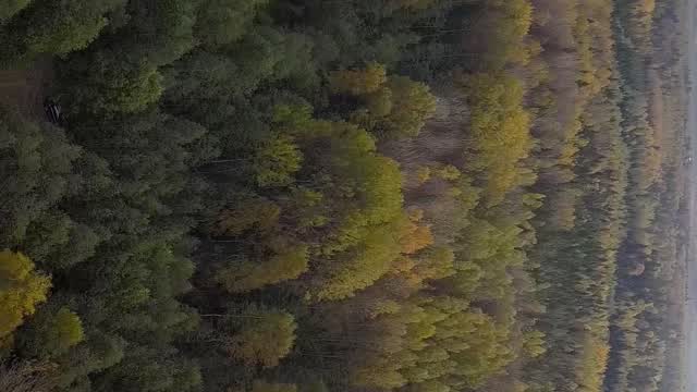 4k Nature Stock Footage: Royalty-Free Video Clips - Storyblocks