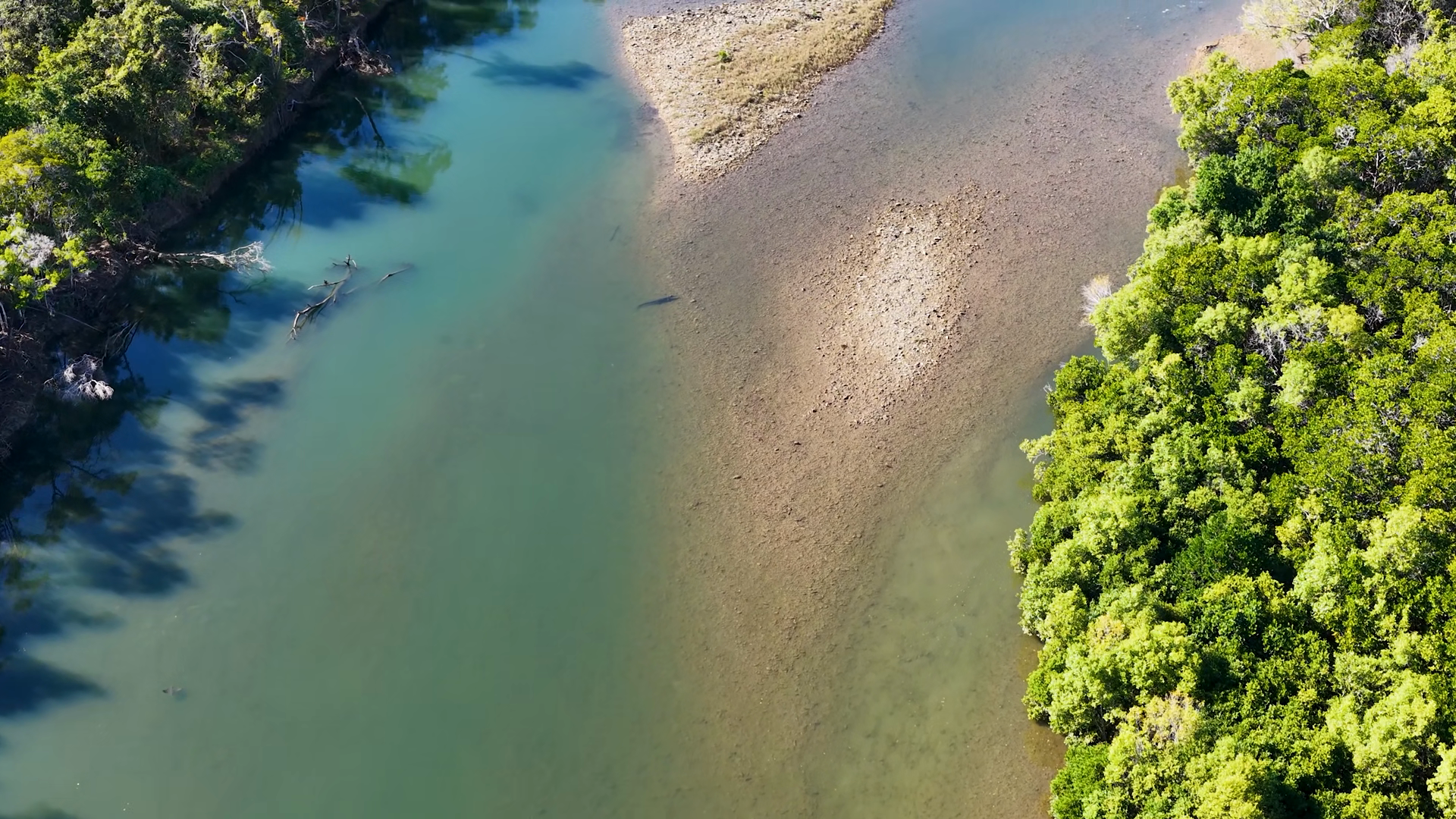 Aerial Flyover Of Tropical Rainforest Stream Stock Footage SBV ...