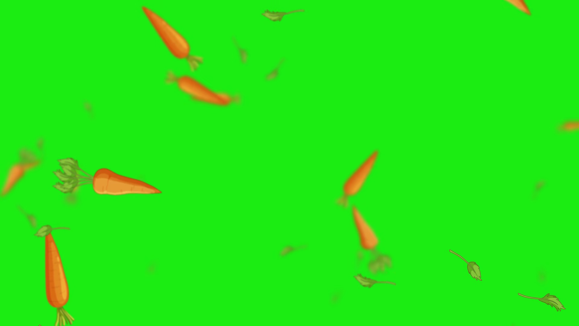 Looping Rain Of Floating Carrots On Green Stock Footage SBV-354158947 ...