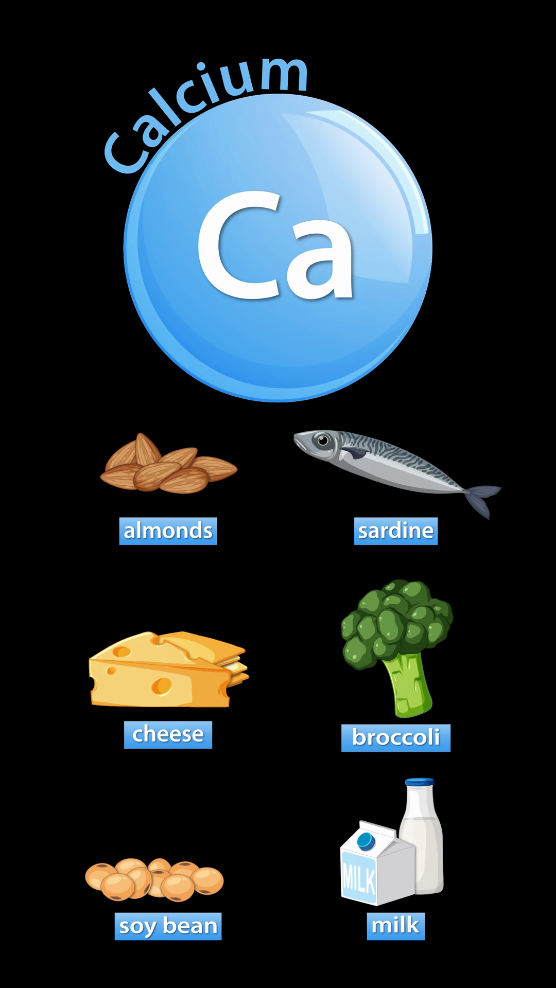 Calcium-rich Foods Animation With Ingredient Stock Footage SBV ...