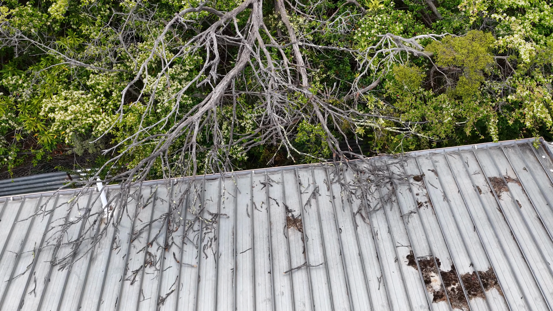 Aerial View Of Fallen Tree Branch Damaging Stock Footage SBV-353699072 ...