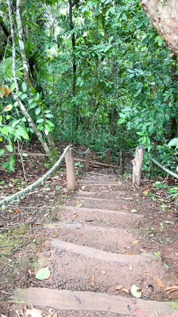 Slippery Path Stock Footage: Royalty-Free Video Clips - Storyblocks