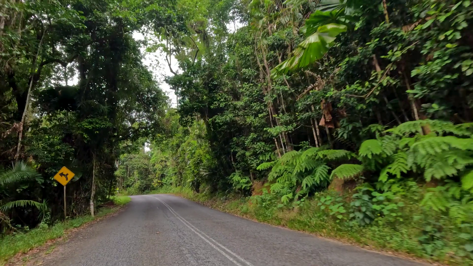 Scenic Drive Through Lush Rainforest In Port Stock Footage SBV ...