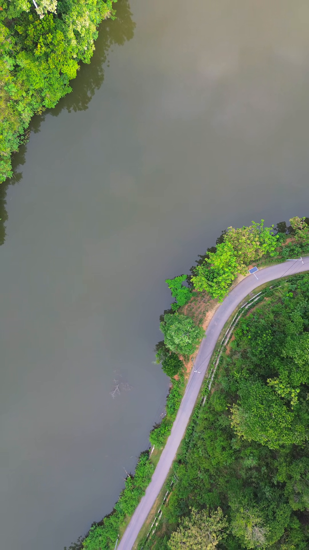 Aerial View Of River Road In Forest Stock Footage SBV-353562263 ...