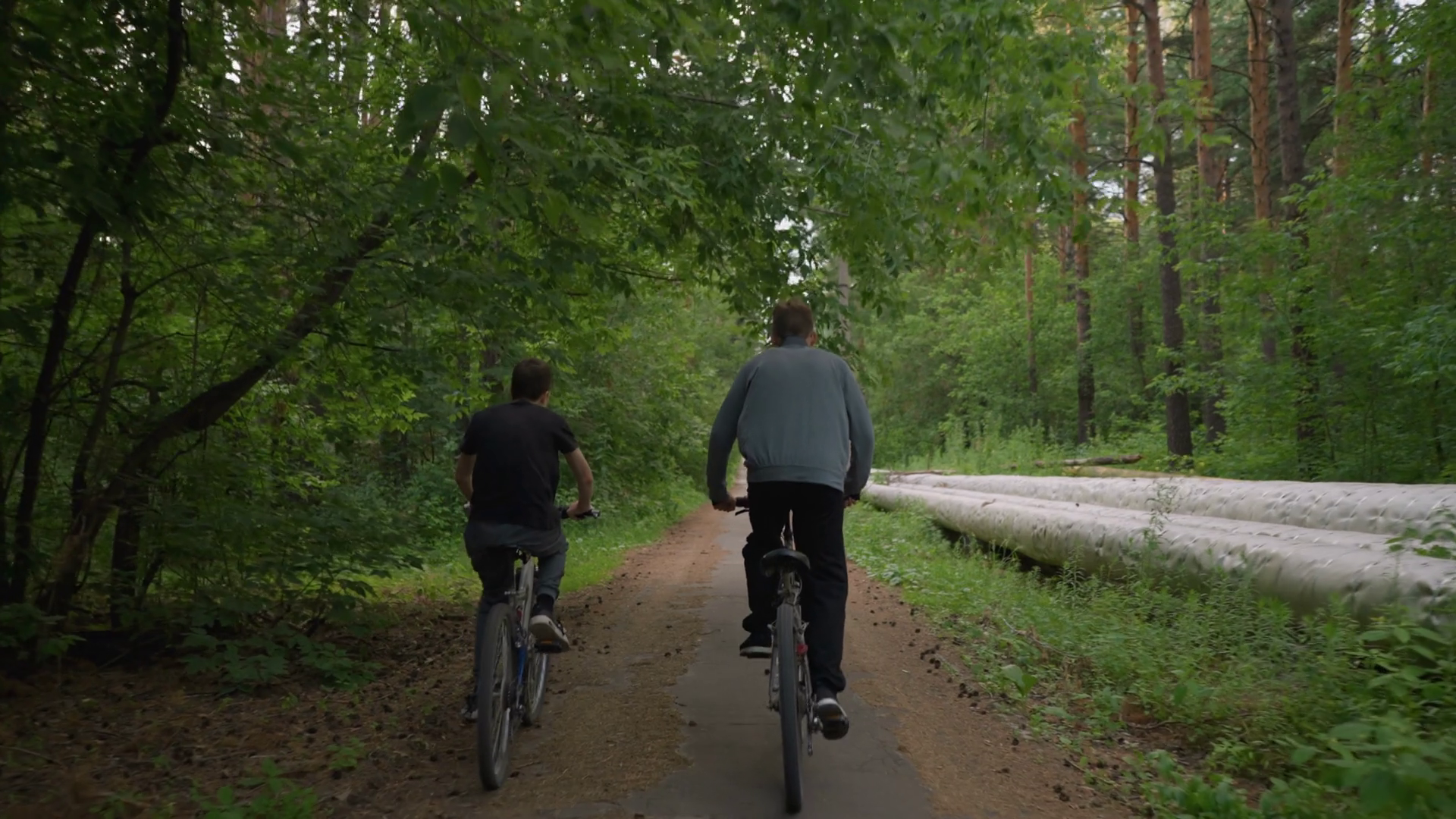 Two Friends Riding Bicycles Along Paved Stock Footage SBV-349314697 ...