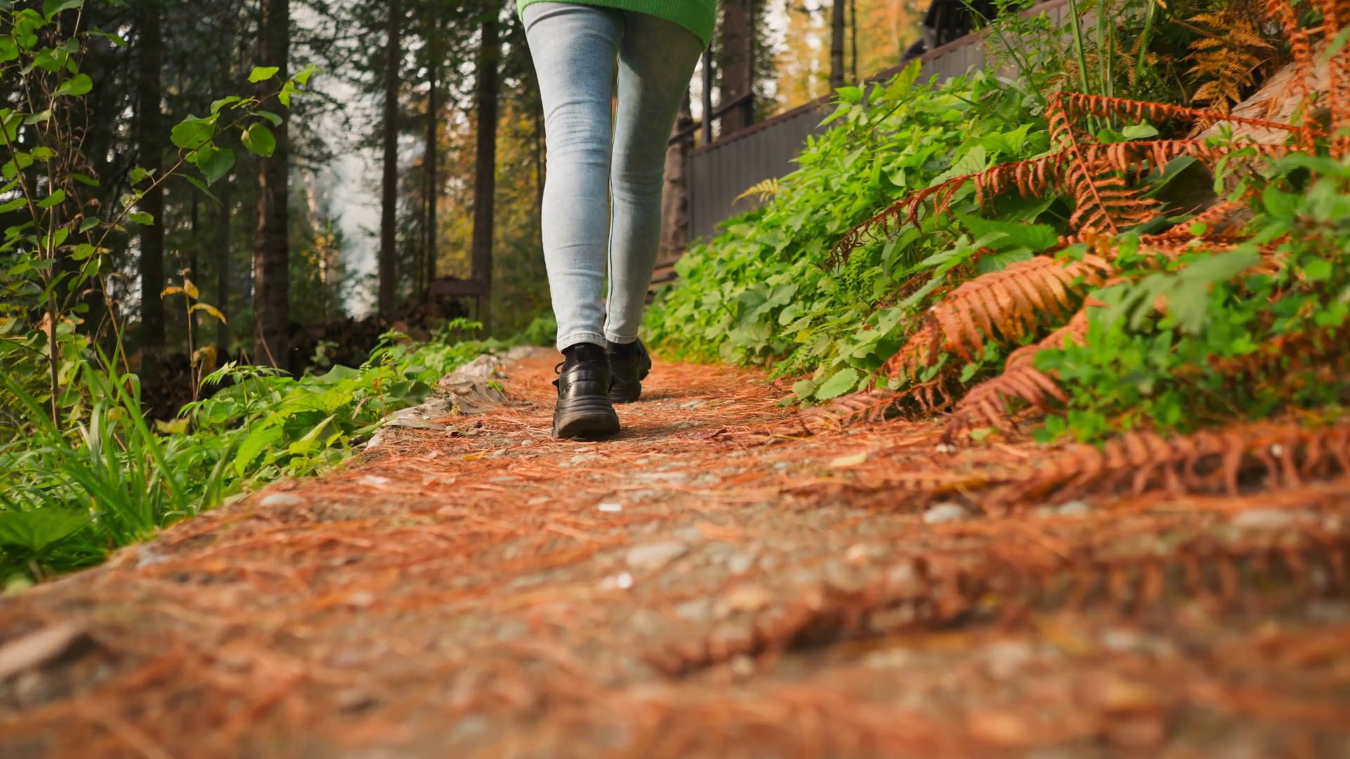 Woman Walking Along Path In Forest Walk In Stock Footage SBV-348729042 ...