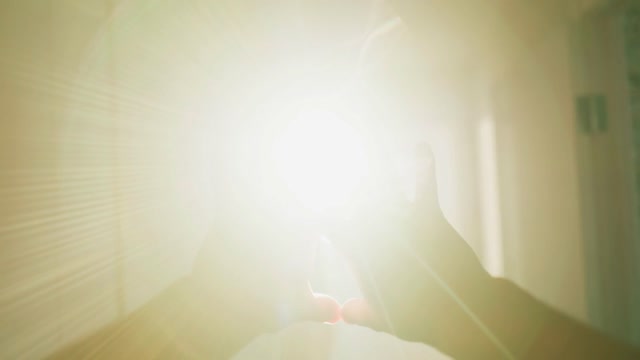 Hand Held Shot Stock Footage: Royalty-Free Video Clips - Storyblocks