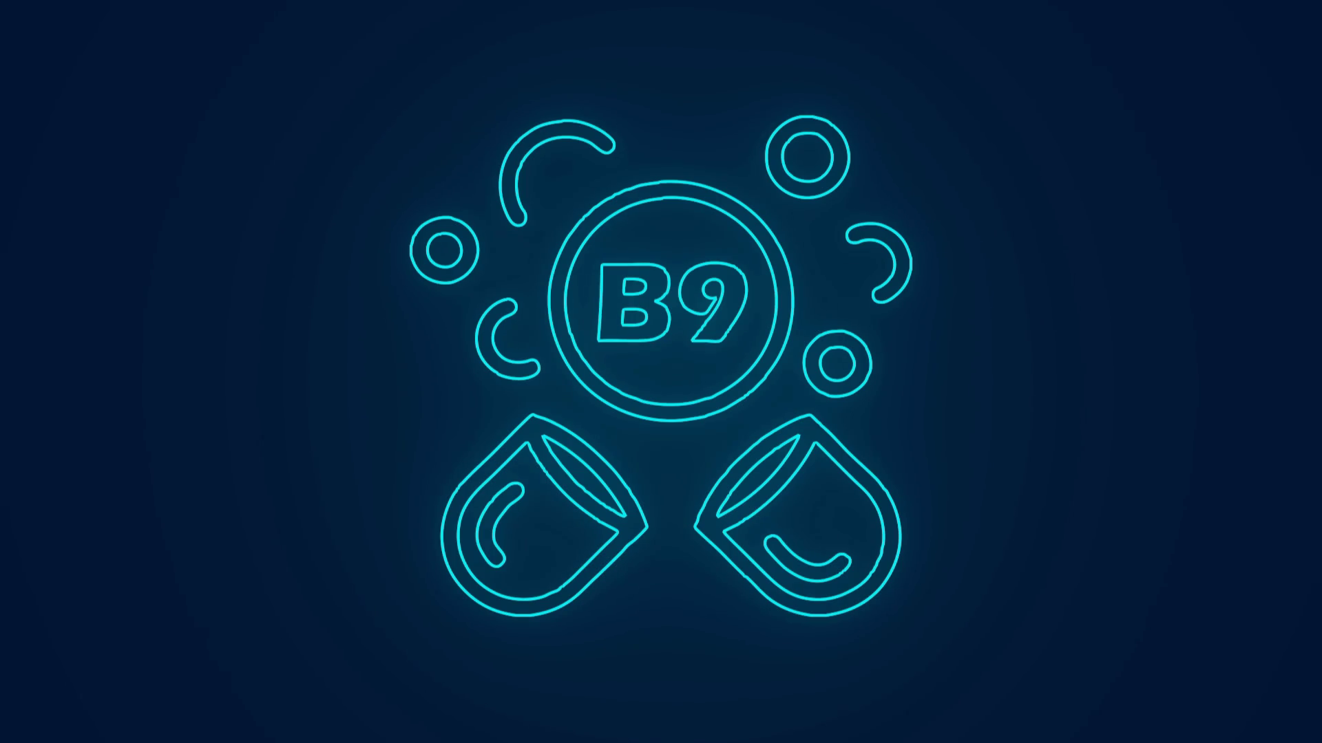 Vitamin B9 Folate Essential Building Blocks Stock Motion Graphics SBV ...