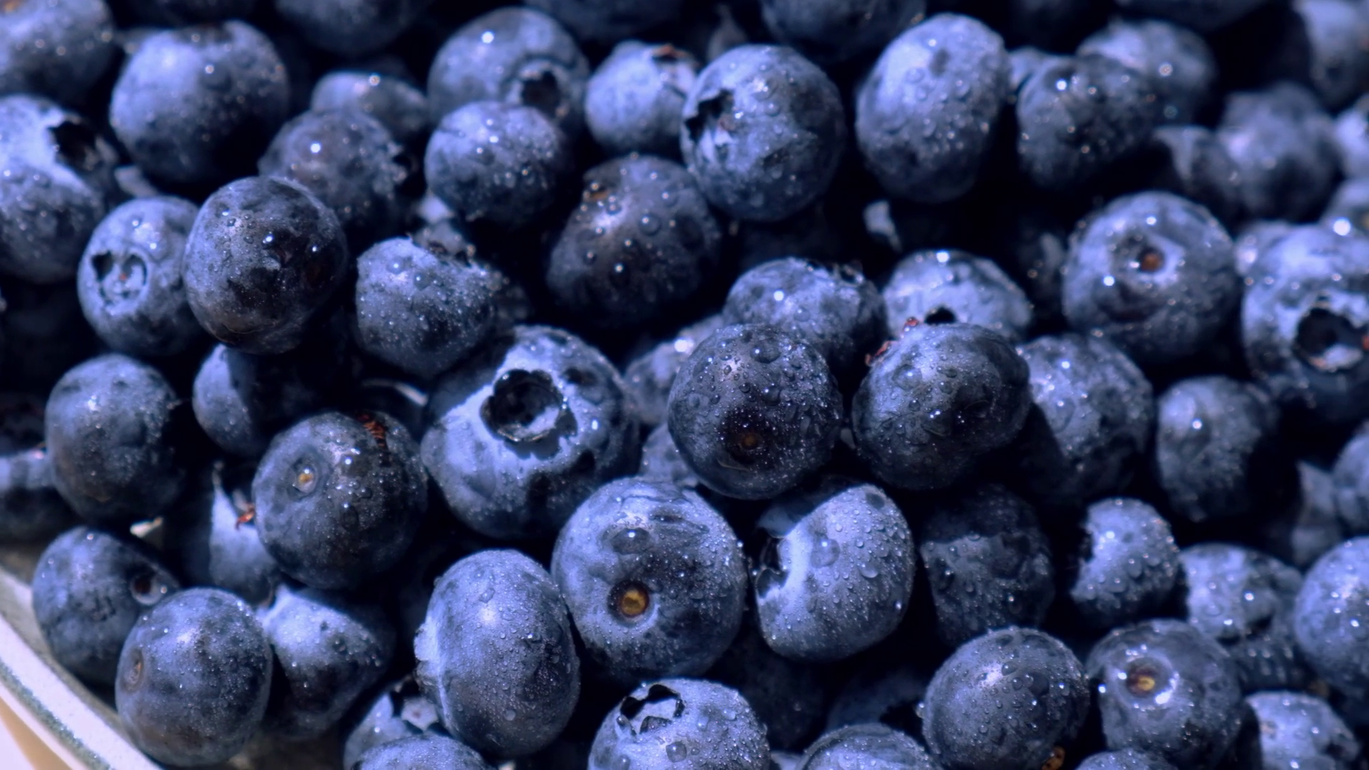 Fresh Blueberries In Plate Rotating Slow Stock Footage SBV-348527907 ...