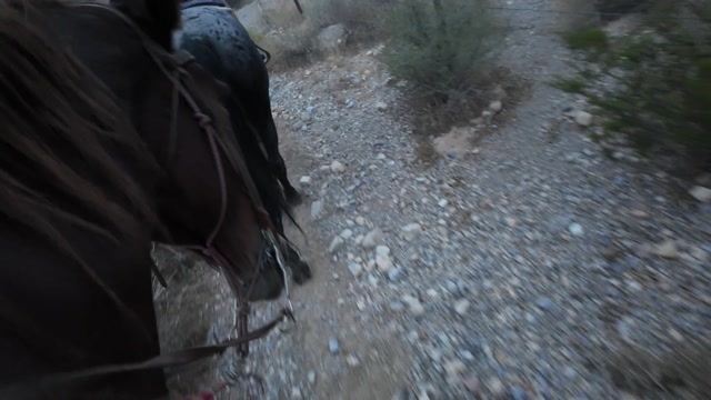 Riding A Horse At Night Stock Footage: Royalty-Free Video Clips ...