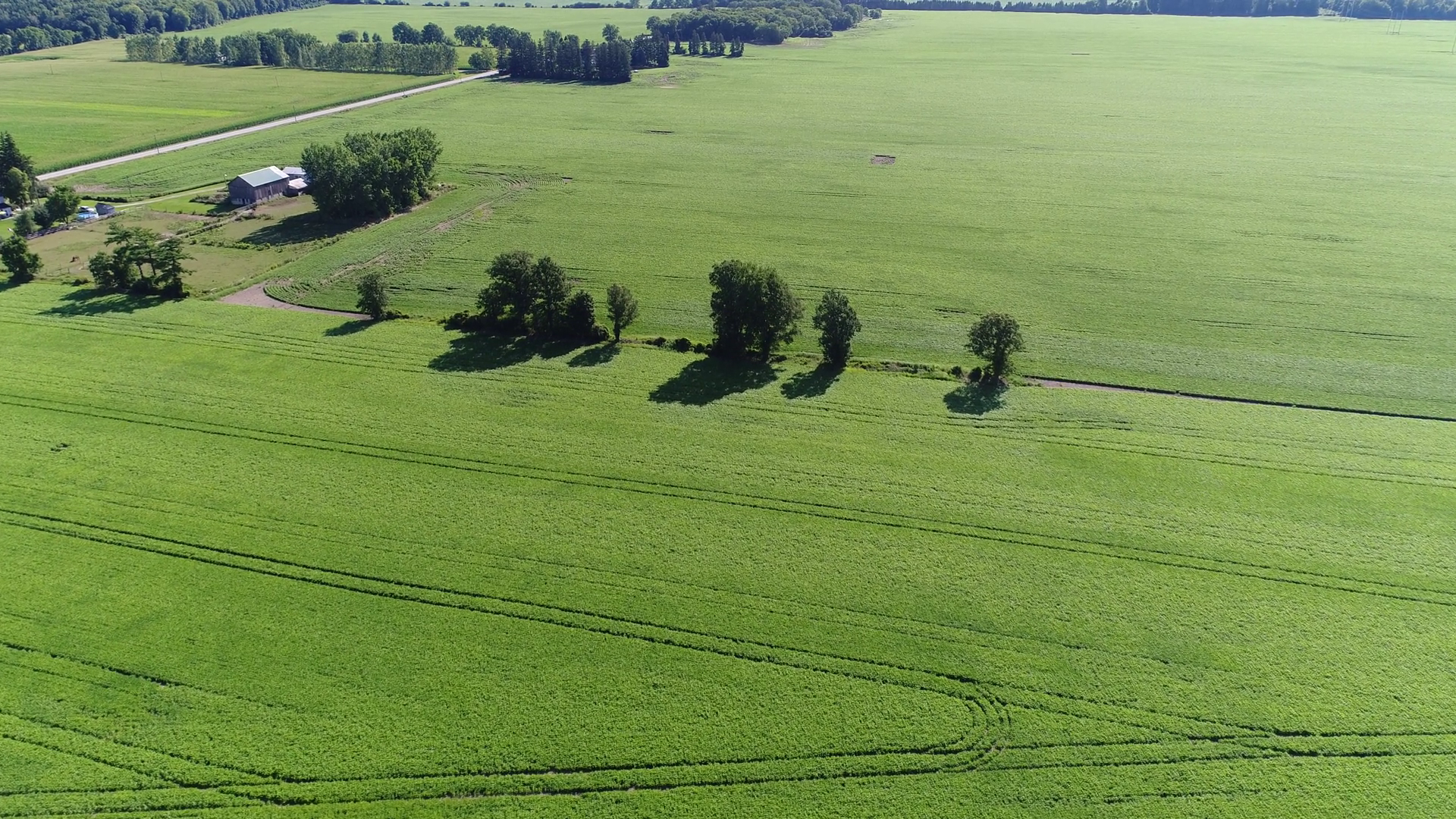 Flying Towards Farmhouse Cleared Fields Soy Stock Footage SBV-347664844 ...