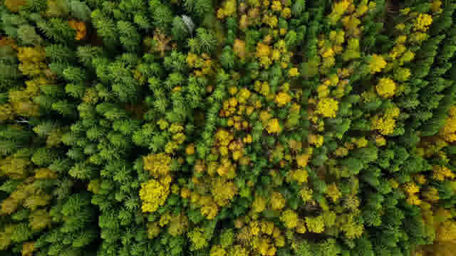 Nature Zoom In Stock Footage: Royalty-Free Video Clips - Storyblocks