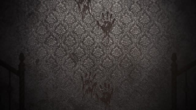 Ghost Shadow | Effects and Overlays motion backgrounds - Storyblocks