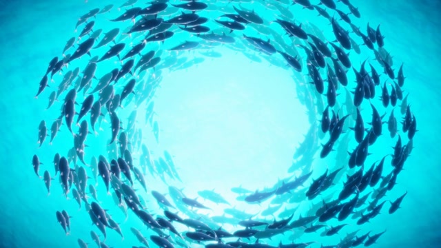 Shark Swimming Loop Stock Footage: Royalty-Free Video Clips - Storyblocks