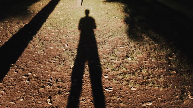Shadow Figure Stock Footage: Royalty-Free Video Clips - Storyblocks