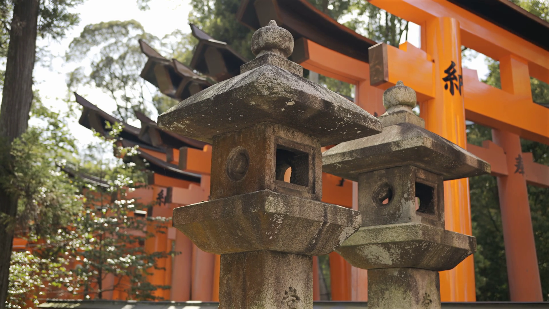 A Vibrant Red Torii Gate Stands Majestically Stock Footage SBV ...