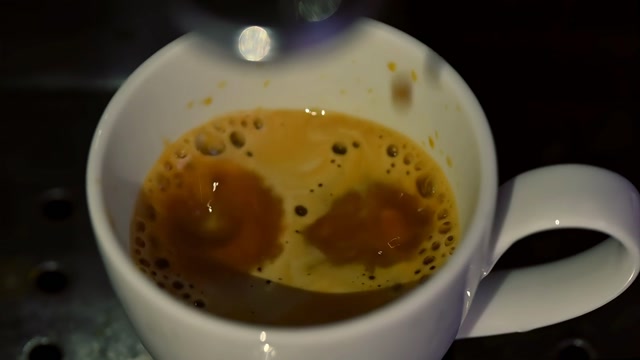 Cozy Coffee Shop Stock Footage: Royalty-Free Video Clips - Storyblocks