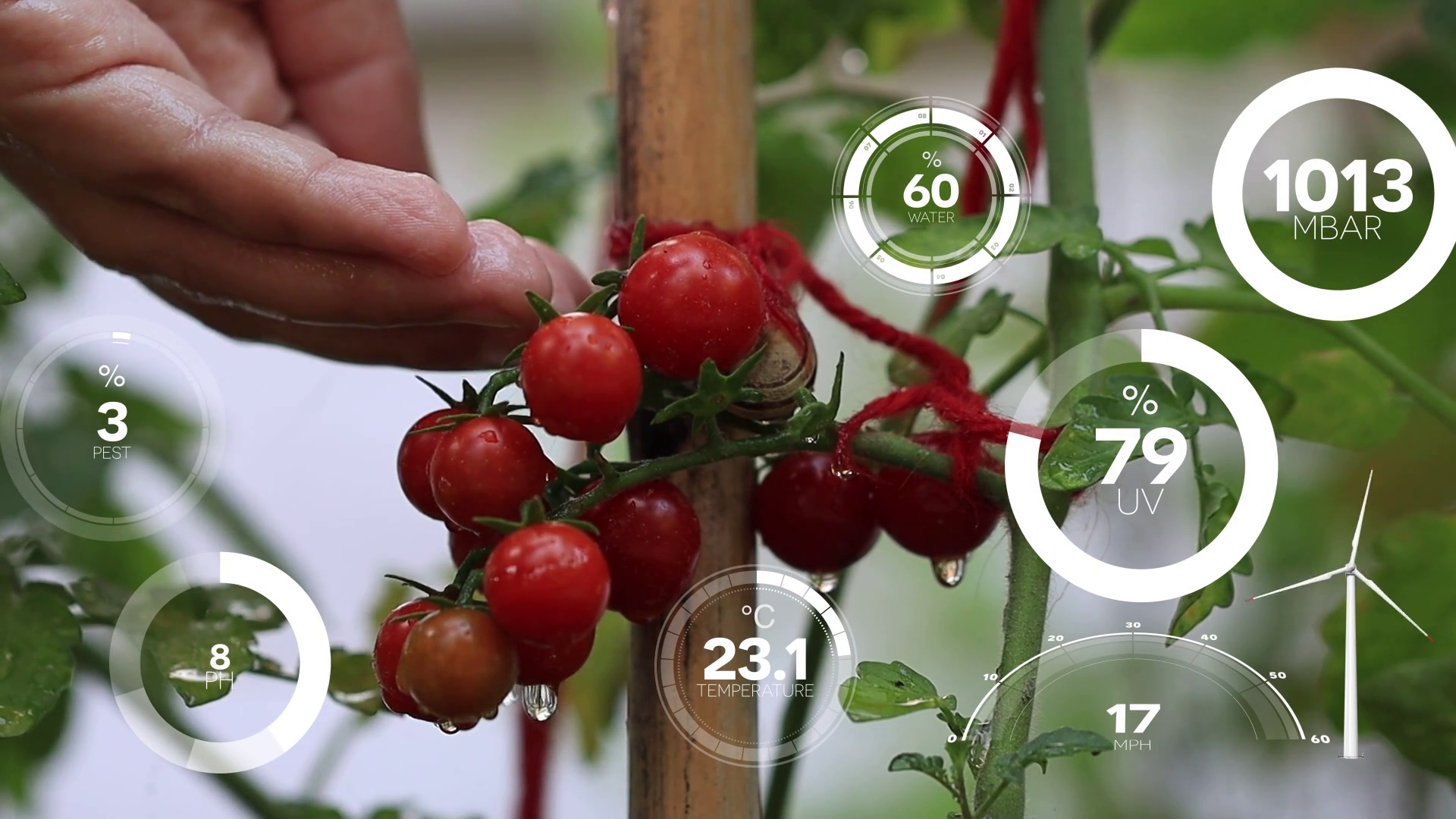 Smart Digital Agriculture Technology Stock Footage SBV-352356681 ...