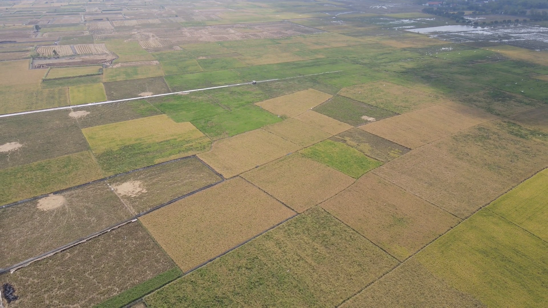 Aerial View Of Morning In Rice Field Stock Footage SBV-348802247 ...