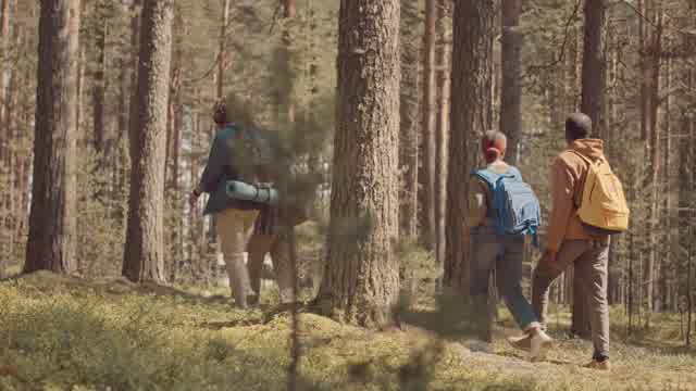 Tree Friend On Trip Stock Footage: Royalty-Free Video Clips - Storyblocks