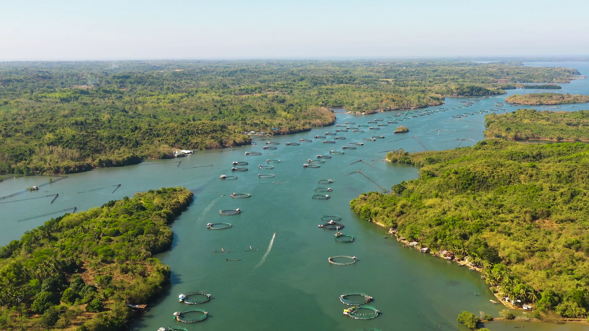 Aerial View Of Fish Farm With Cages Fish Stock Footage SBV-349005637 ...