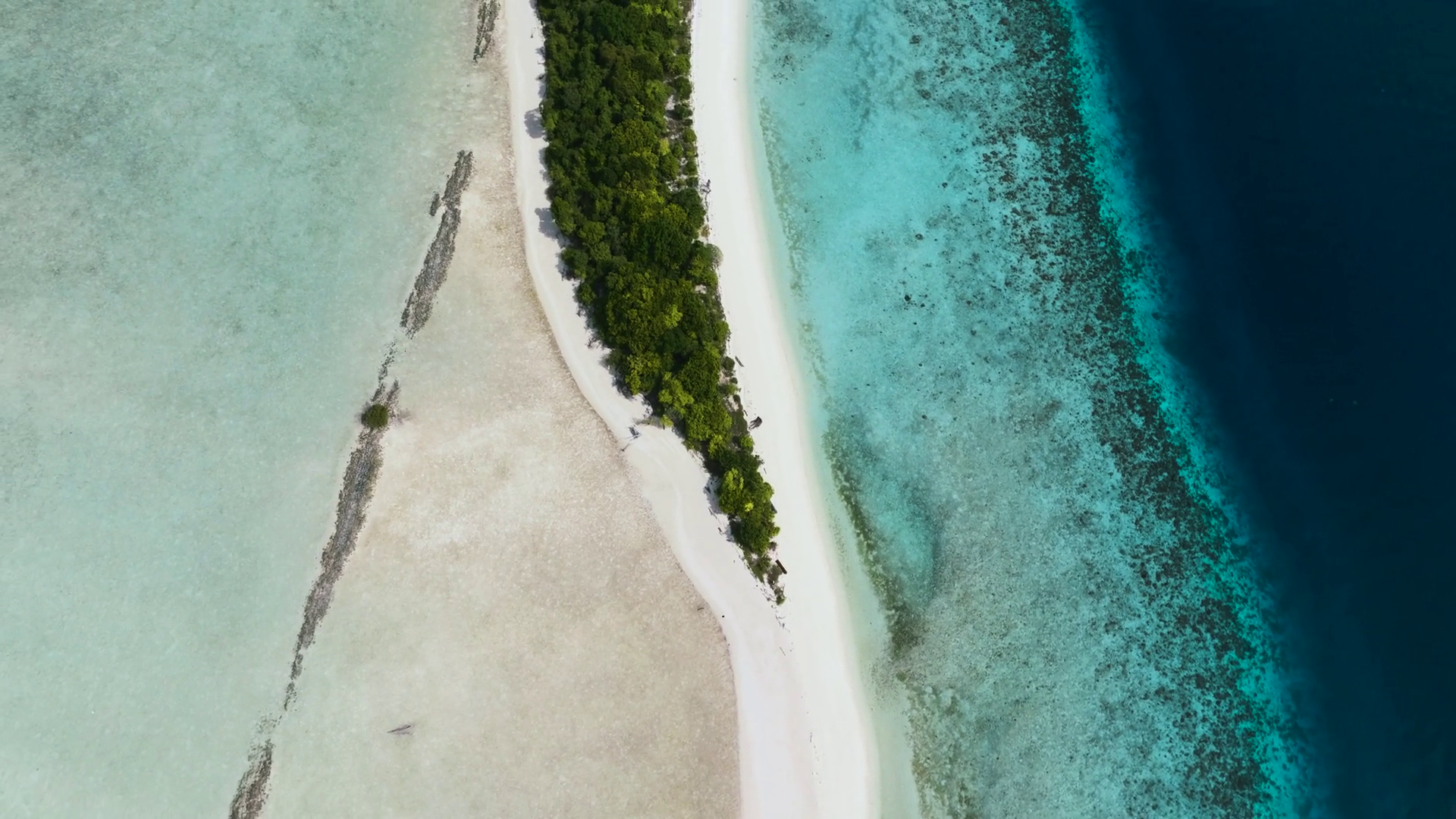 Beautiful Sandy Beach Blue Sea Timba Timba Stock Footage SBV-349151490 ...