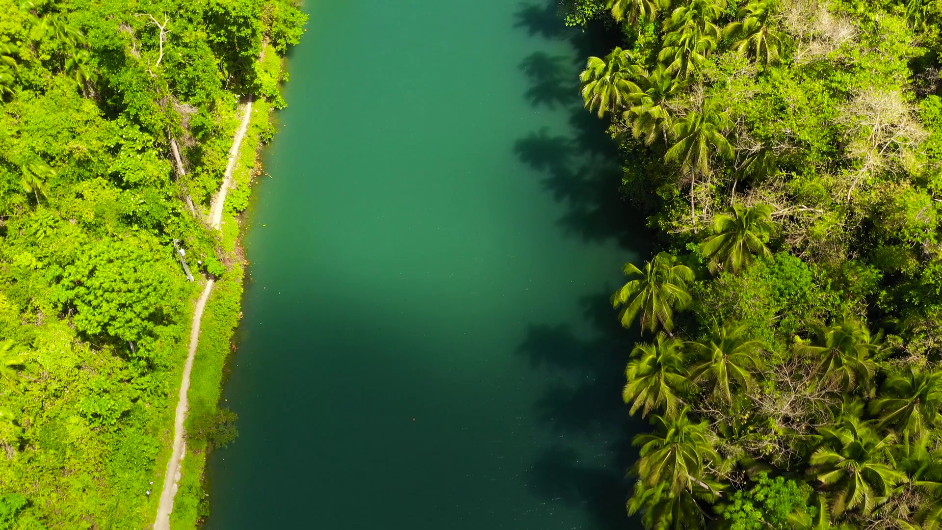 Beautiful Natural Scenery Of Loboc River In Stock Footage SBV-349271138 ...