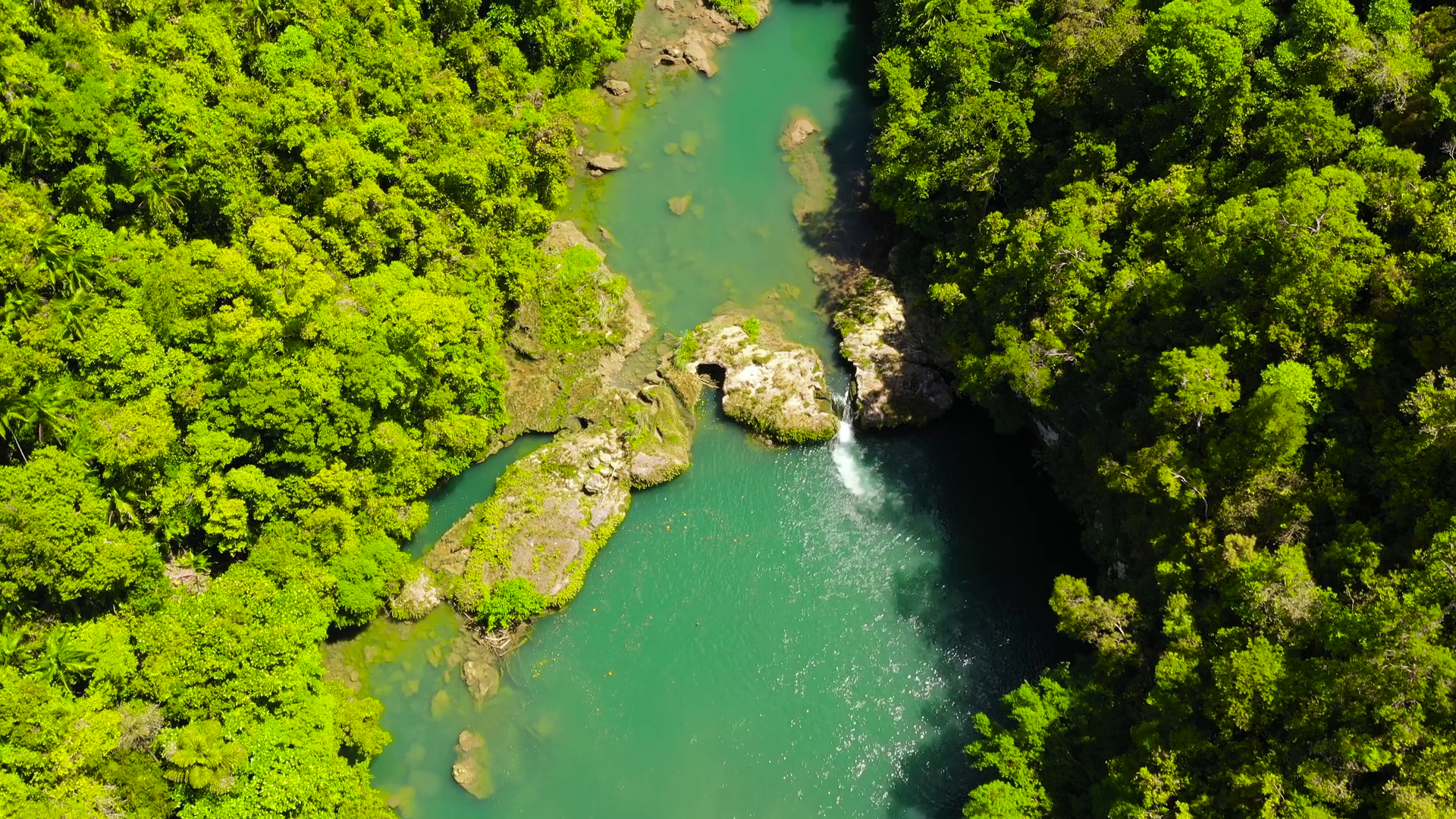 Beautiful Natural Scenery Of Loboc River In Stock Footage SBV-352265451 ...
