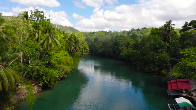 Loboc River Stock Footage: Royalty-Free Video Clips - Storyblocks