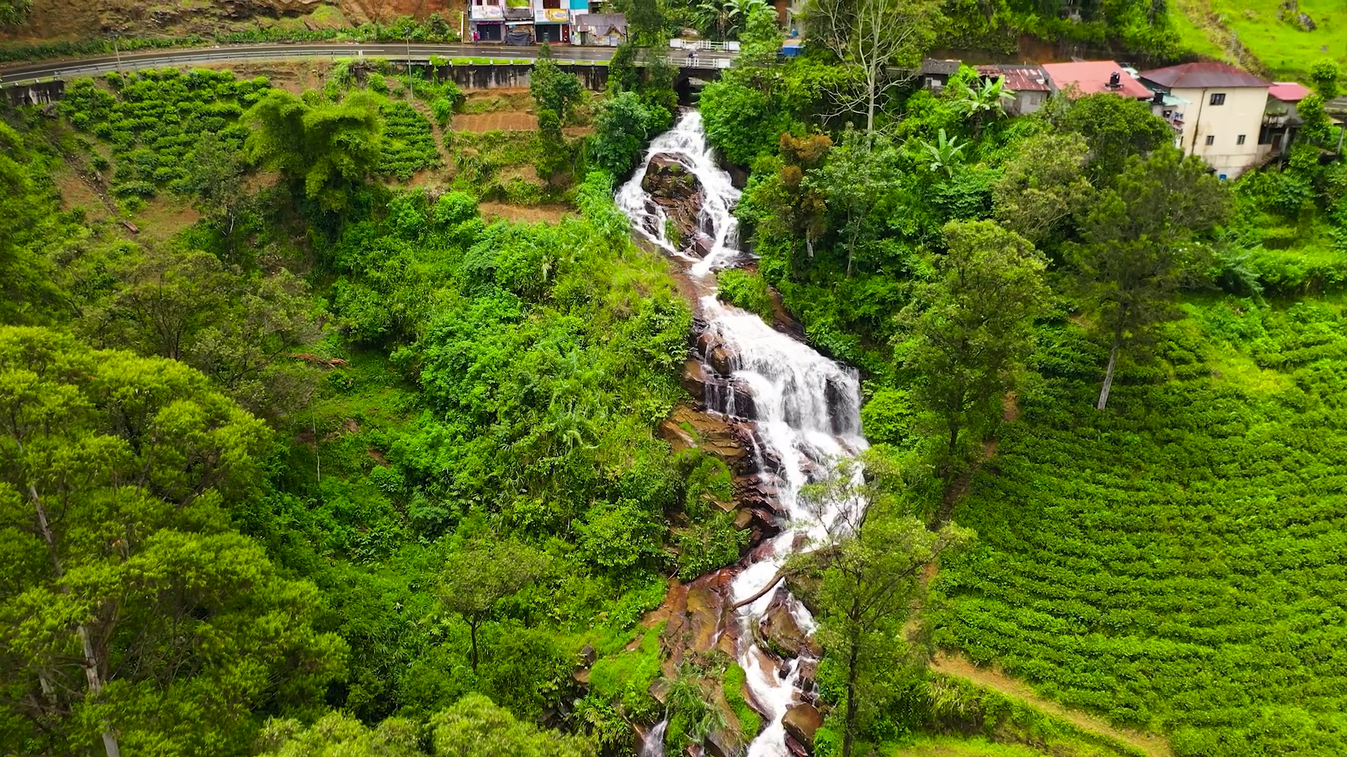Aerial Drone Of Waterfall Tea Plantations In Stock Footage SBV ...
