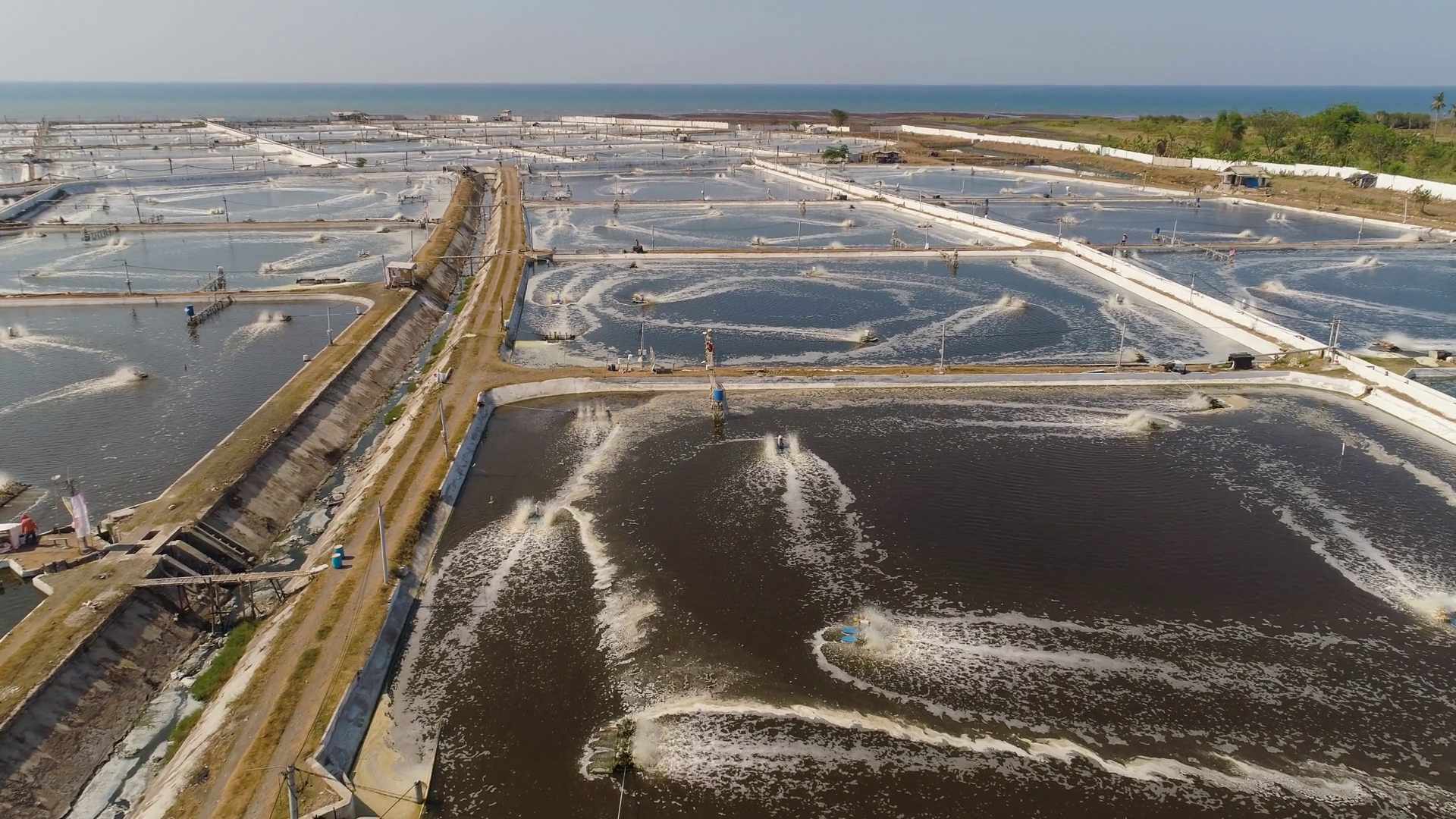 Shrimp Farm Prawn Farming With With Aerator Stock Footage SBV-347733559 ...