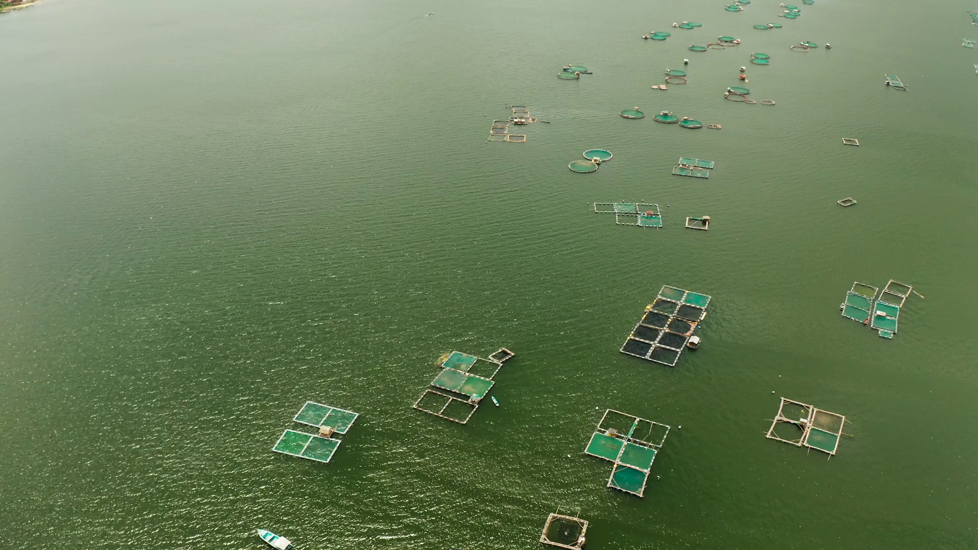 Fish Farm With Cages Fish Shrimp On Lake Stock Footage SBV-348365337 ...